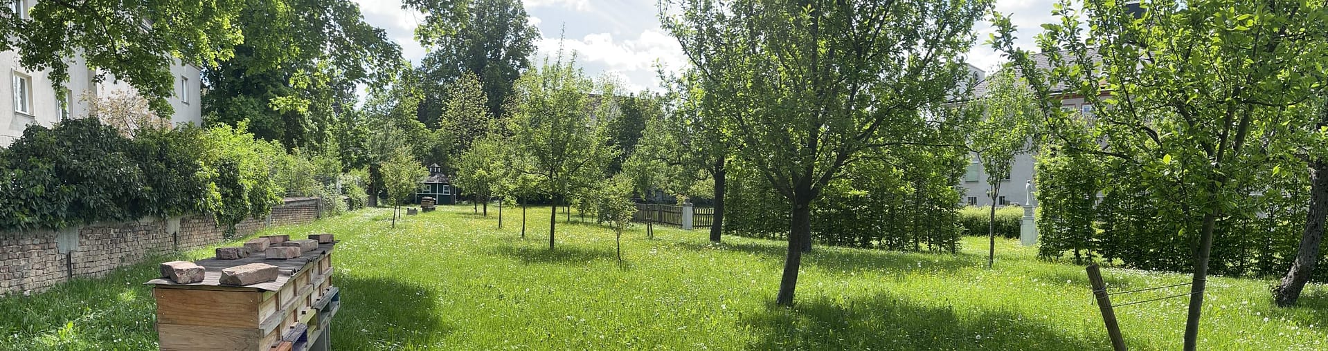 Villa Erbse Bienenpatenschaft: Bienen für deinen Betriebsstandort. Hier im Stift St. Peter in 1170 Wien